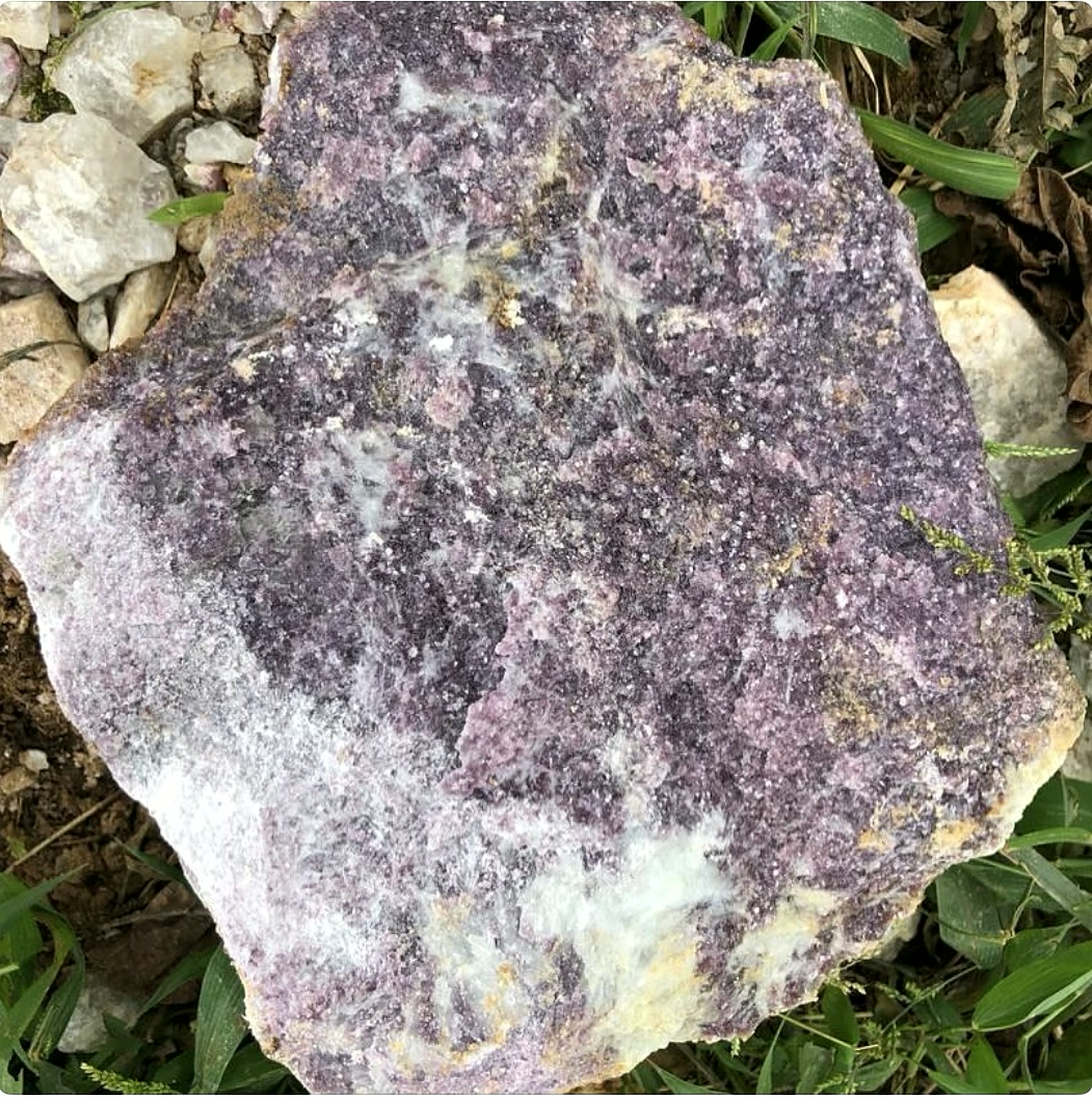Lepidolite