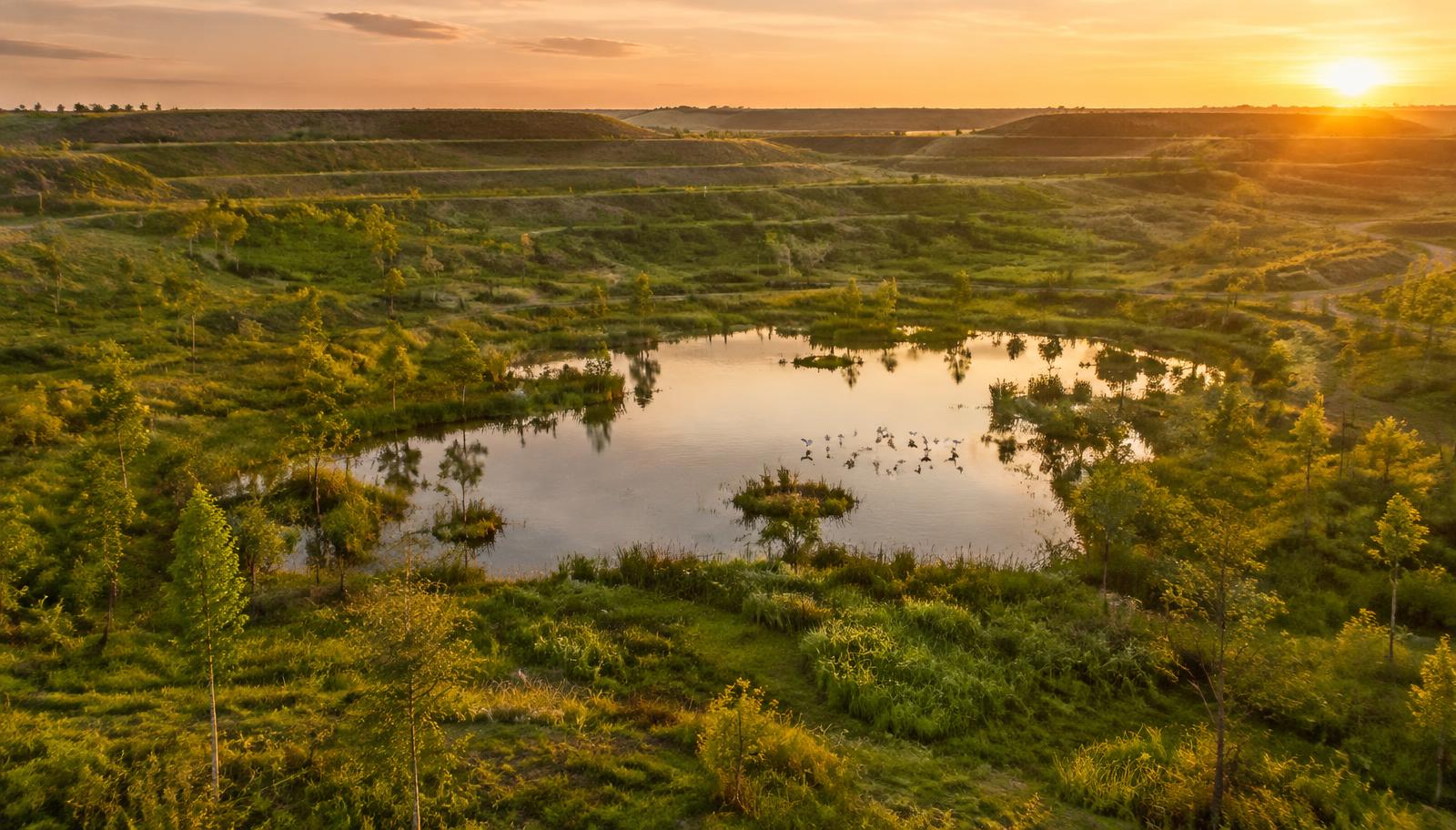 Restored wetland